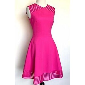 New With Tags - Ted Baker Mesh Detail Skater Dress - Fuchsia Size 2 (US size 6)